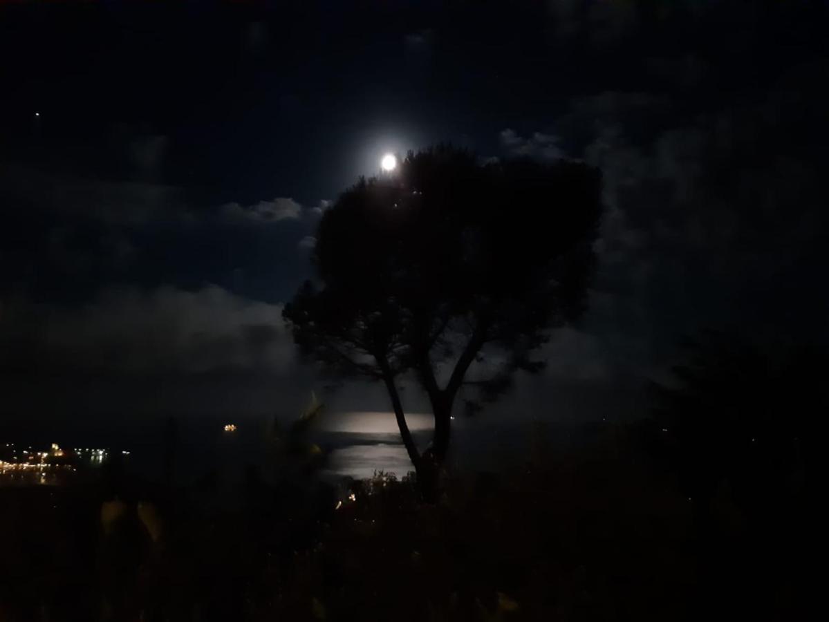 IL MARE NEL BOSCO appartamento con terrazza nella natura, vista mare, Lerici e isole Esterno foto